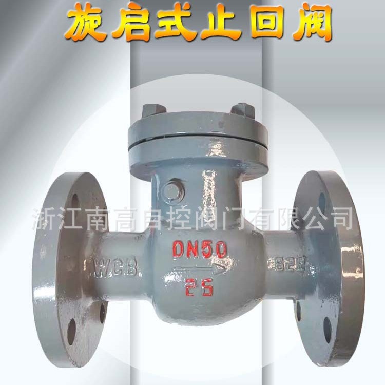 H44H-16C 铸钢法兰旋启式止回阀 DN250 单向止回阀防倒流止回阀