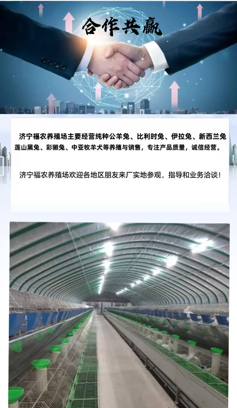 微信图片_20250311212357