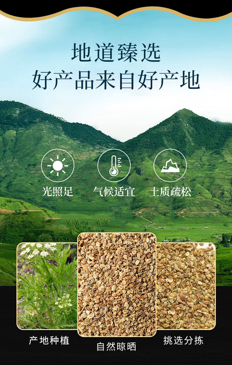 She Chuang Zi (Cnidium monnieri) — Dried Food-Herb Fruit for Foot Soaks & Herbal Washes overview