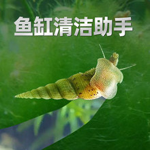 �R���ݳ��嵭ˮ�^�p���O�����~���坍�ݹ����ݷ��׵�ɳ�坍���w��