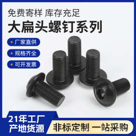 304不锈钢电泳黑大扁头内六角带垫螺栓机螺钉M2.5M3M4M5M6M8M10