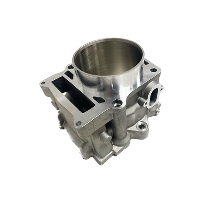 Grizzly700 Cylinder, Cylinder and parts