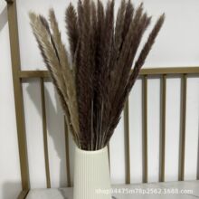 ԭɫ�JȔ�ɻ��b��W�t��Ȼ�����[�O�滨�Ҿӿ͏d�[��������l