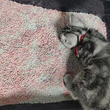 �Ƶ�ϴ�˲;����������ռ���܇�ռ{���坍�P�L���μӺ��̖؈ɰ�P