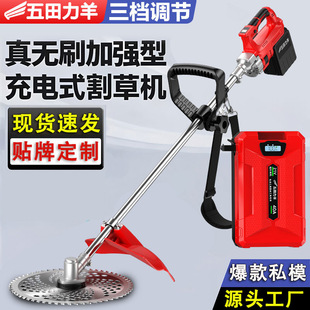 折叠床打地铺