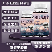 ����ѷ�����羳ϲ��֥����Shilajit gummiesϲ������ɽHimalayas