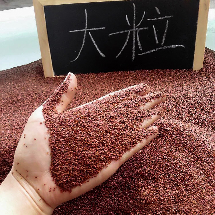 10818329130_172574475