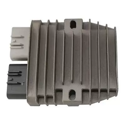 HiSun 32100-116-0100 – electronic regulator