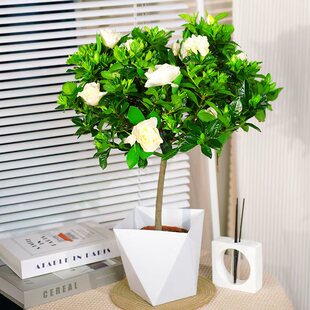 ���U�d�ӻ����Ԏ������Ϙ�����������~ĵ���������̨�����ͻ���