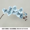 Short model 9 fork Phalaenopsis autumn color haze blue