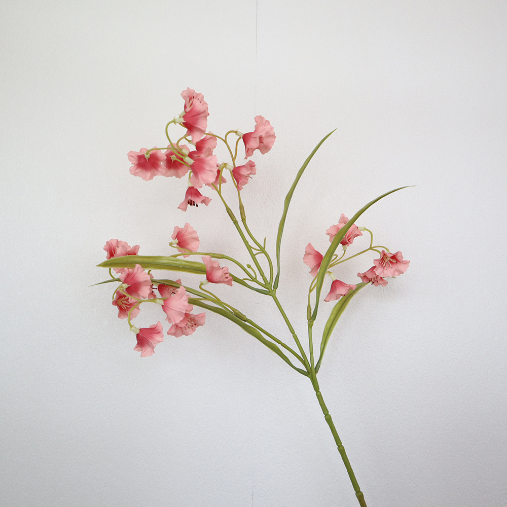 피치 핑크 약 54cm