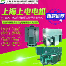 上海上电电机马达Y、YKK、YKS系列高压电动机三相异步185~10000kW
