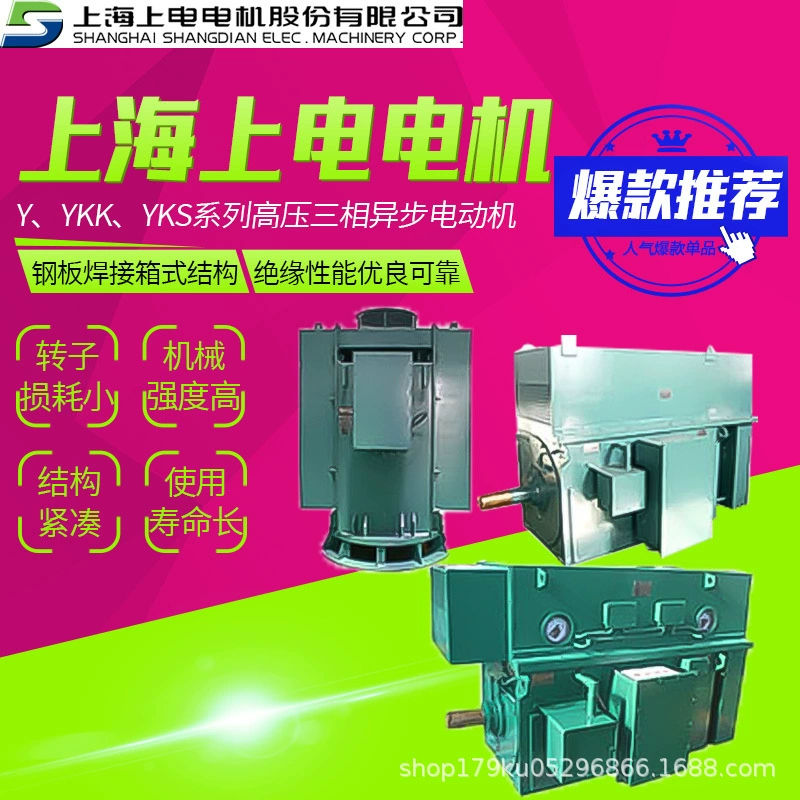 Шанхайский мотор Shangdian Motor серии Y, YKK, YKS высоковольтный трехфазный асинхронный двигатель 185~10000 кВт