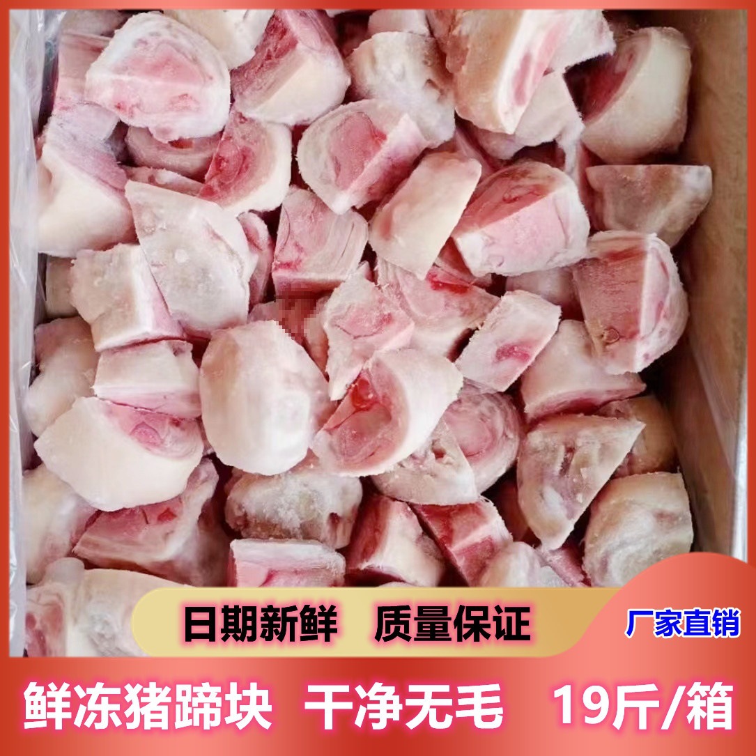 冷冻生鲜猪蹄 猪脚块 猪脚粒 猪爪带尖饭店食堂食材批发
