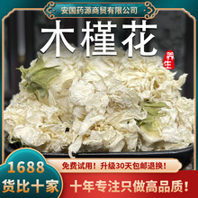 木槿花白木槿花白色木槿瑾花可中药材食大小花用木槿花茶新鲜干花