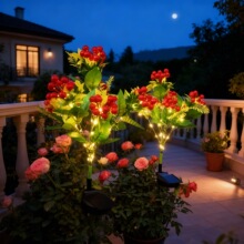 �羳�¿�̫��ܰlؔ�t����˼����ƺ���ļ����ز������ͥԺ�b�