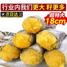 多春鱼满籽新鲜商用海鱼多籽鱼特大冻海鲜水产鲜活冷冻烧烤食材