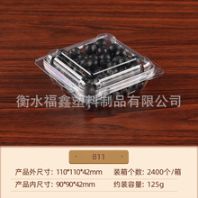 一次性蓝莓打孔包装盒花茶水果盒咸菜调料包装食品塑料包装盒批发