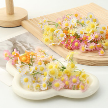 ���滨�^5�^��ʾջ����ֹ�DIY���h�����b����СҰ�ջ���S����