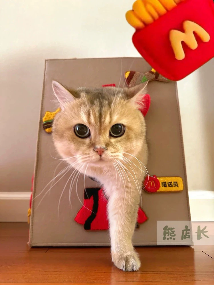 2023 Подлинная кототерем McDonald's котNest сумка сумка из фетра зимой можно выходить с собакой дом царапается вокруг доски