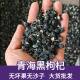 Authentic Qinghai Black wolfberry new product 500g Black wolfberry dried fruit dried big fruit wolfberry red wolfberry wholesale