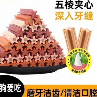 Mydog����ĥ������ҧ���XӖ��ҧ�»�̩�ϲ����zС��Ȯ���̌�����