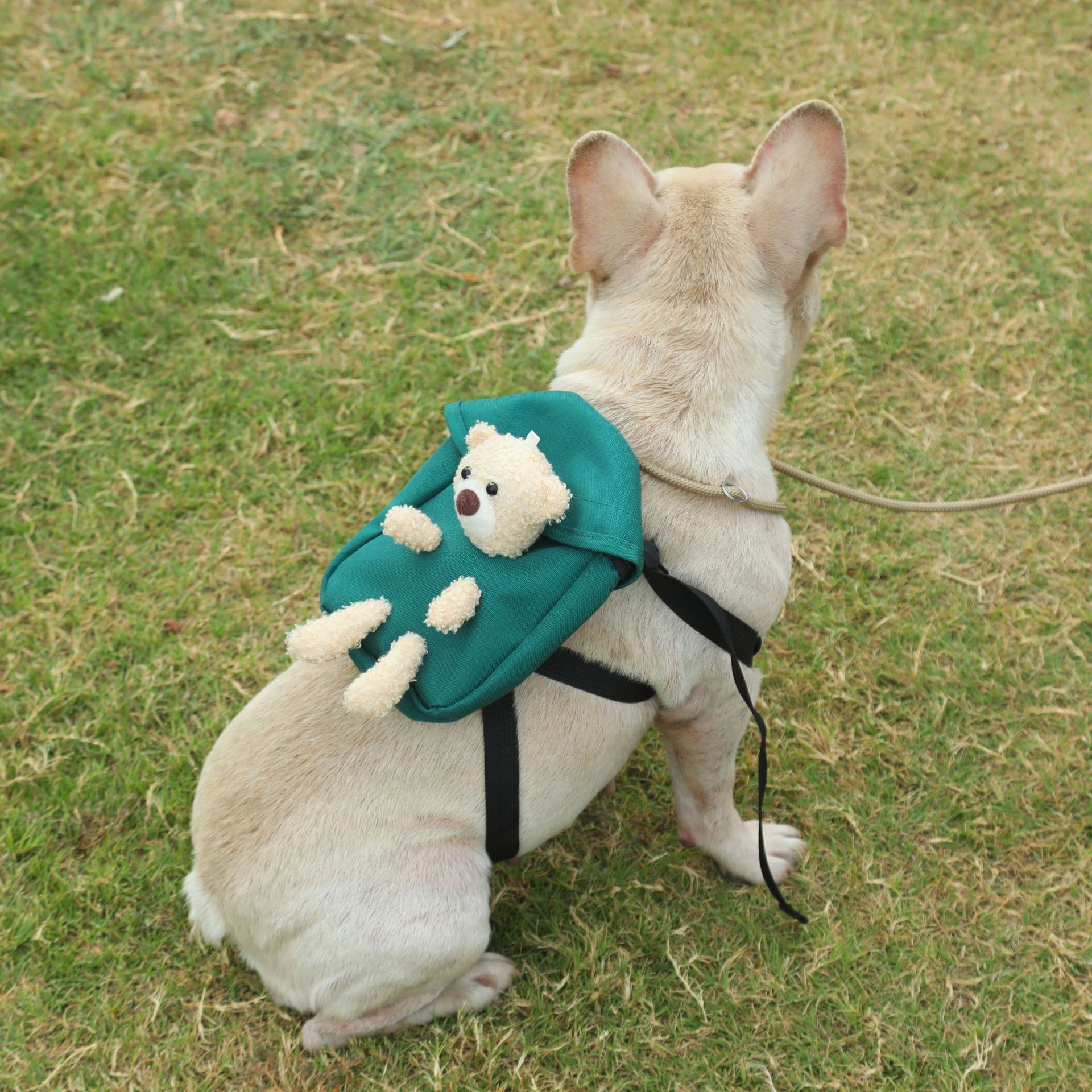 Mascota perro auto-mochila perro mochila gato salida mochila tortuga bolsa merienda peluche mediano y pequeño perro colección de tracción