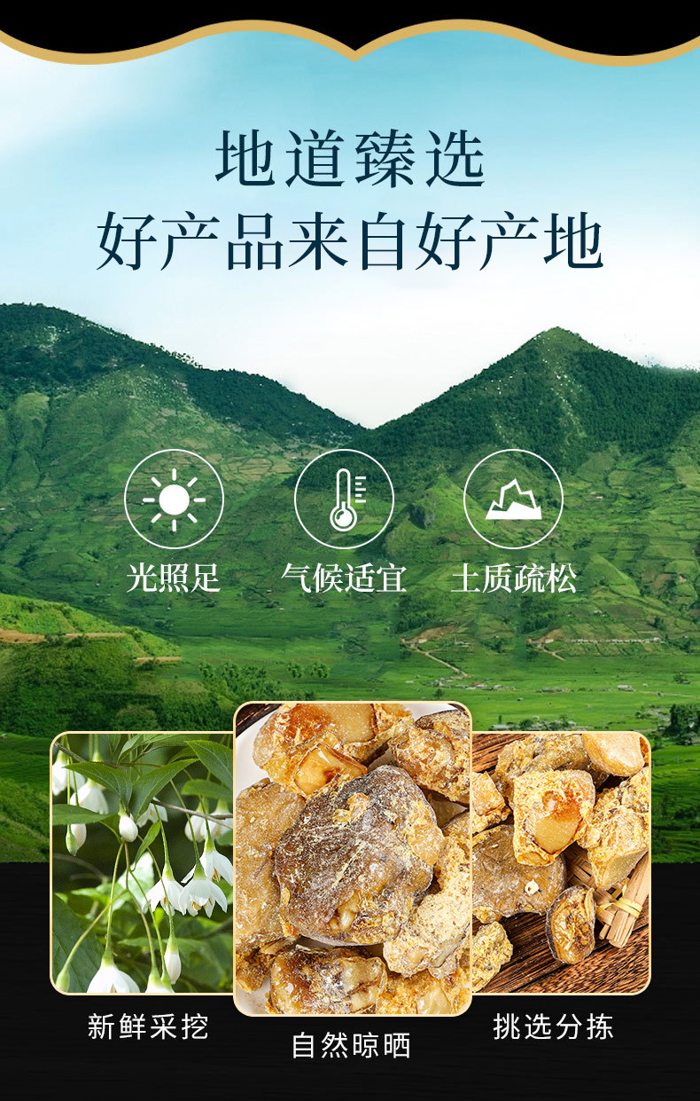 Su He Xiang Oil (Liquidambar orientalis) — Flowing Storax Resin for TCM Herbal Use overview