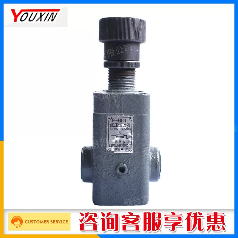 金鹏低压2.5MPa溢流阀P-B63 手动溢流阀