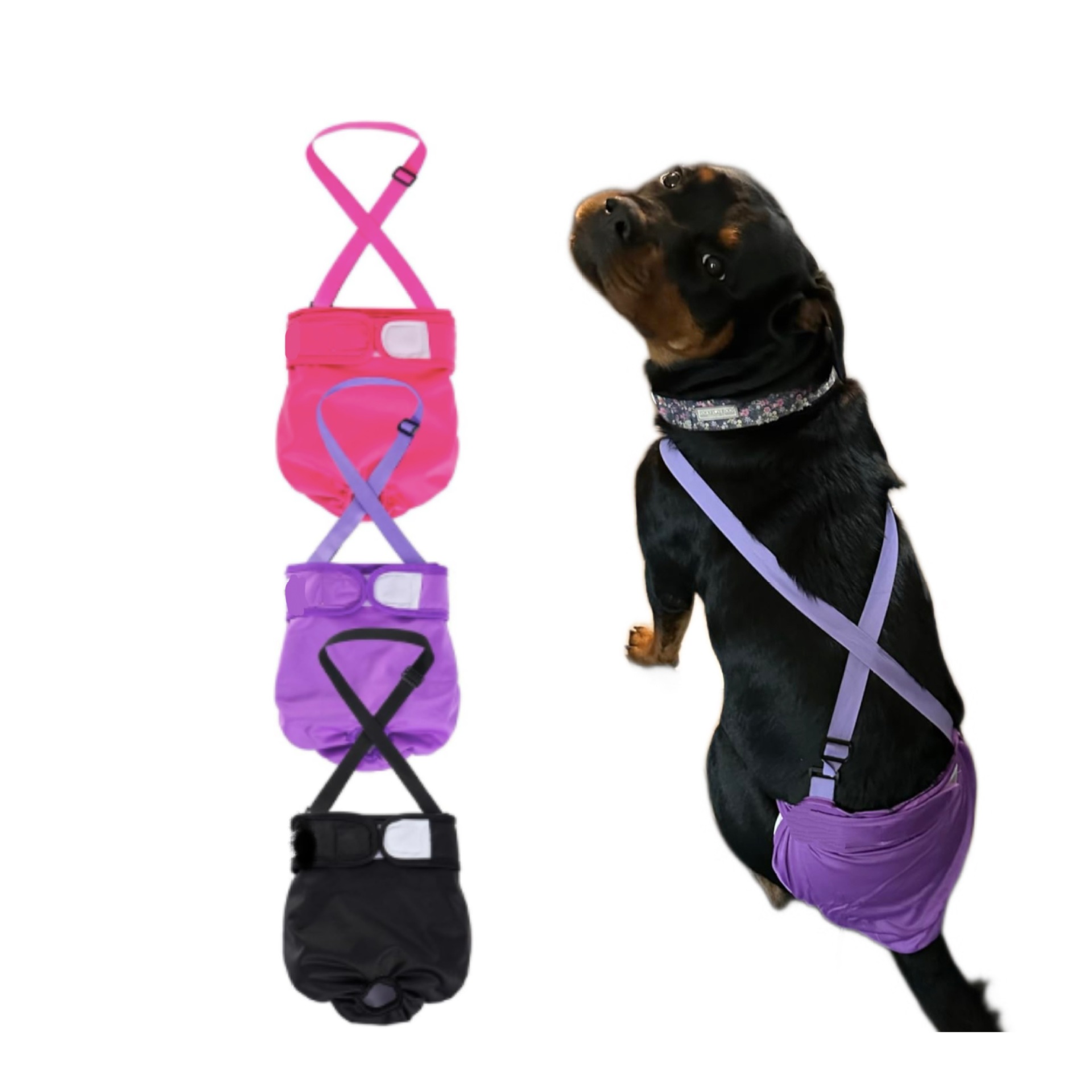 Lanyard holder