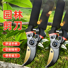 一件起批园林剪刀果树修枝剪 花园绿化粗枝修剪工具修枝剪