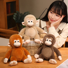 ��ͨ����С���ӹ���ë�q��ߴ�������żС�J�ﰲ�᲼�������նY��