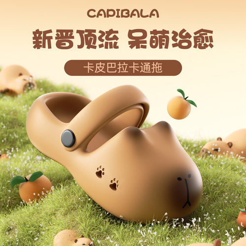 Lida Nika Pibara Children's Slippers, Girls' Summer Outdoor Slip-resistant Thick-soled Eva Beach Hole Slippers, also for Boys