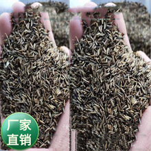 �S�����l180�N���ݷN�Ӿ��^�����^�p�ݻ� ���x�շN�ӳ��x�������