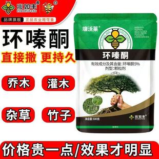 �����S��Ʒ�������l5%�h�ͪ�s�ݏ������������sľ��ľ�JȔ���݄�