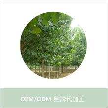 ��ؾG��������ͩ�е��G��������ͩ�� ���^ͥԺ�^�p��ͩ����