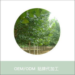 ��ؾG��������ͩ�е��G��������ͩ�� ���^ͥԺ�^�p��ͩ����