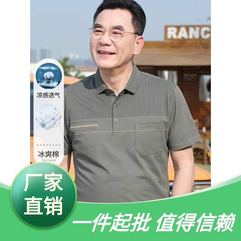 Cool and Breathable Pique Mesh T-Shirt Polo Shirt for Men, Short-Sleeved Summer Lapel Shirt for Middle-Aged and Elderly Men