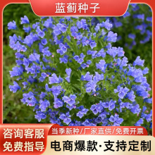 {ENļ׷N_ͥԺ̨׻N^