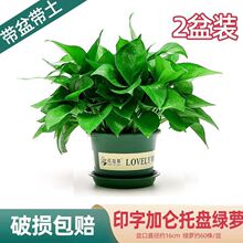 �G�}~�͏d�Gֲ�����҃����ռ�ȩ~�����՚�ˮ��ֲ���҃ȾGֲ���R�d