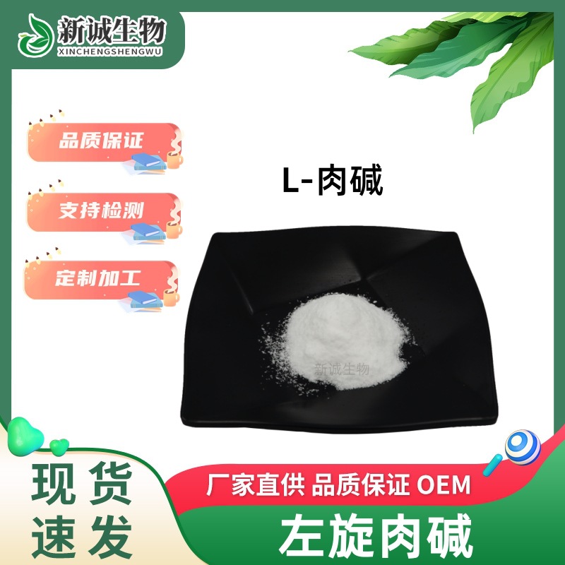 左旋肉碱99% L肉碱原料粉 另有乙酰左旋肉碱酒石酸盐现货供应