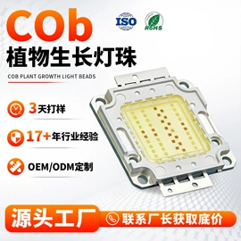 大功率LED;贴片式LED;泛光灯