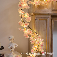 LED�~���ٗl���ѻ���֦�����b��҃ȷՇ����͟��ɏ���DIY�ʟ���