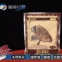 渔家傲奶香味垂钓配方鲫鱼饵