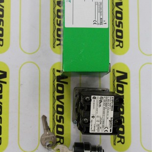 SCHNEIDER Relay Module K1SF217B6XS 230V
