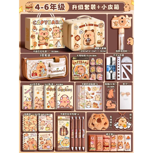 Senior grade-upgrade set + small suitcase