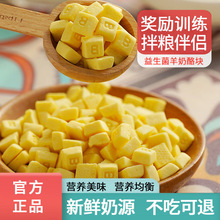 狗狗益生菌奶酪幼犬金毛泰迪宠物奖励训练成犬零食营养补钙美毛