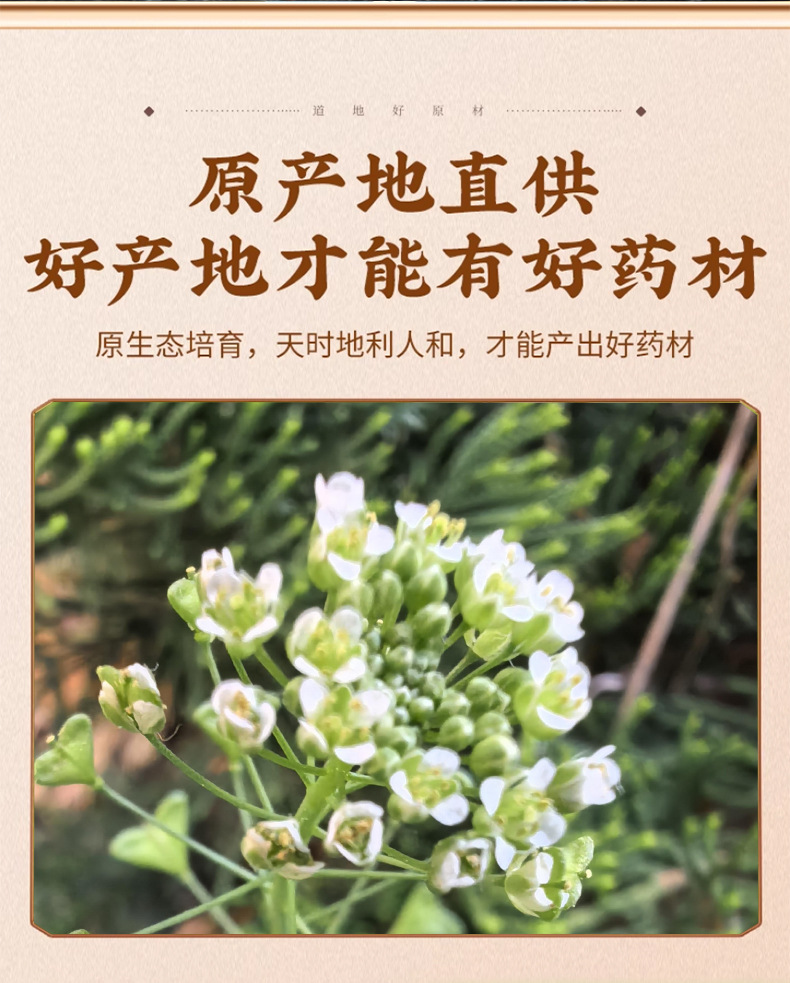 Dried Shepherd's Purse Flowers Ji Cai Hua Natural Air Dried Herb 50g Bag for Tea and Decoction key features