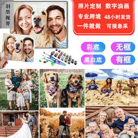 DIY数字油画照片来图高清钻石画自定义图片填色画厂家客厅装饰