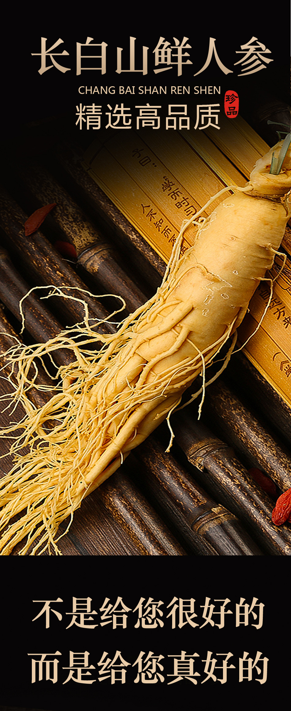 Fresh Ginseng Roots for Cooking and Herbal Soup 15g Pack of 10 Roots from Jilin overview